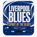 Liverpool Blues football sound magnet