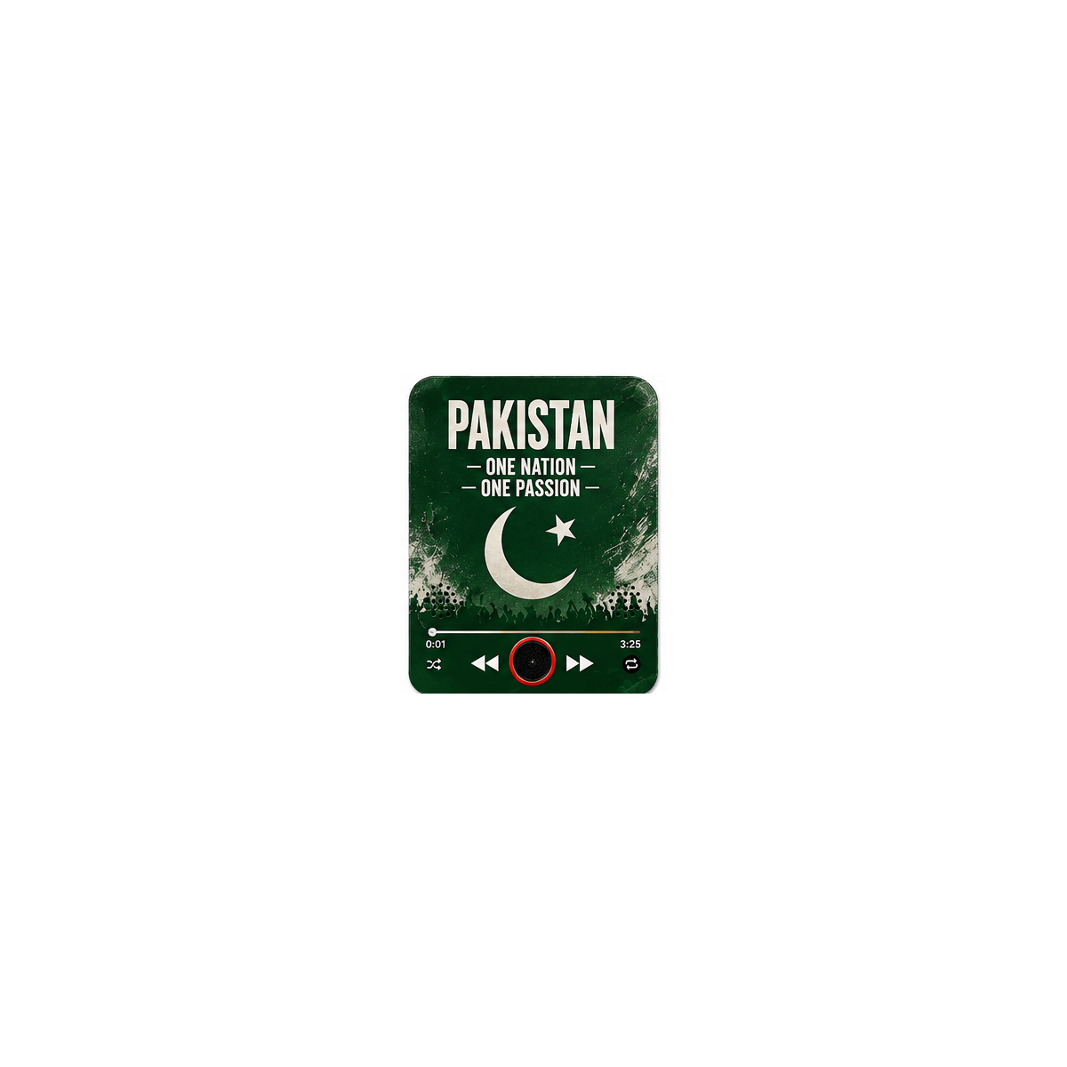 Pakistan cricket sound magnet