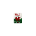 Wales football sound magnet
